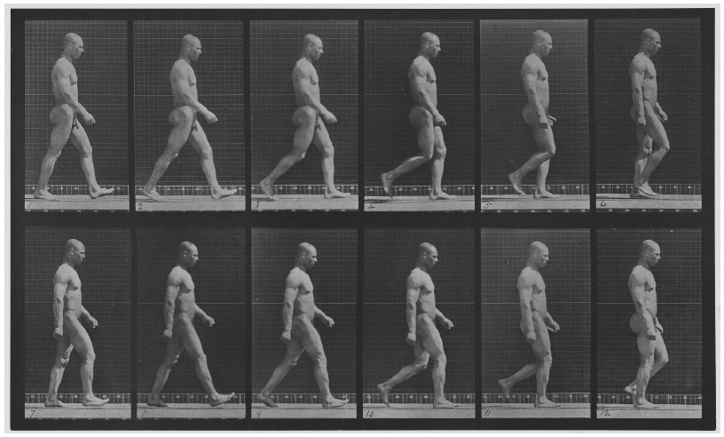 Fotograf&iacute;a serial de un hombre caminando. Forma parte de la extensa obra de Eadweard
Muybridge (1830&ndash;1904), investigador del movimiento y precursor de la cinematograf&iacute;a.
Sus l&aacute;minas ilustran el proceso temporal de eventos particulares (pasos, zancadas, etc).