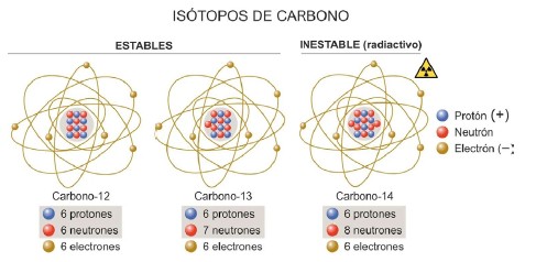 Is&oacute;topos de carbono, tanto estables como inestables&nbsp;(radiactivos), con sus respectivos n&uacute;meros de protones, neutrones&nbsp;y electrones (Casado AI, https://geolodiaavila.com/tag/isotopos-de-carbono/).